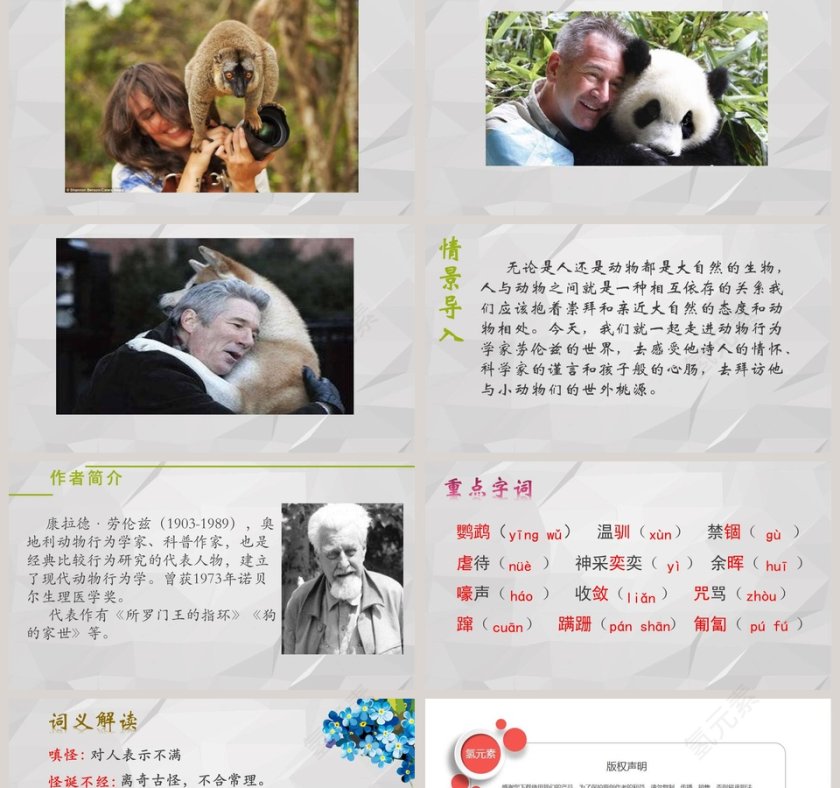 课文解析动物笑谈语文课件PPT第2张