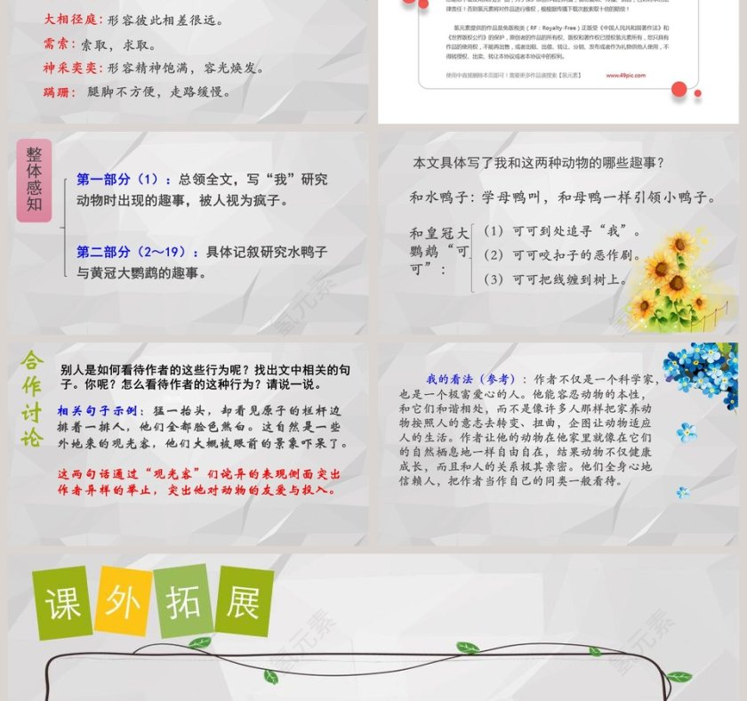 课文解析动物笑谈语文课件PPT第3张