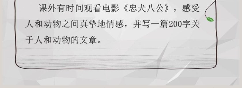 课文解析动物笑谈语文课件PPT第4张