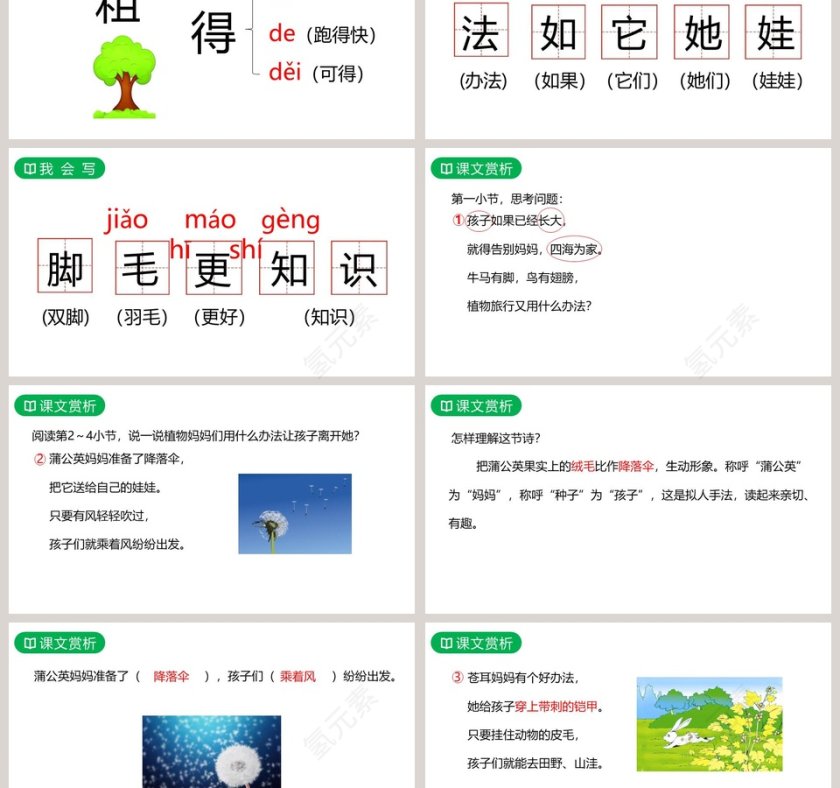 课文解析二年级语文上册植物妈妈有办法语文课件PPT第3张