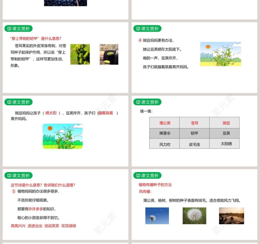 课文解析二年级语文上册植物妈妈有办法语文课件PPT第4张