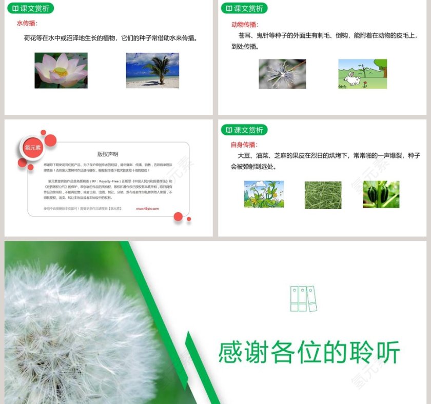 课文解析二年级语文上册植物妈妈有办法语文课件PPT第5张