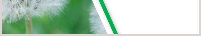 课文解析二年级语文上册植物妈妈有办法语文课件PPT第6张