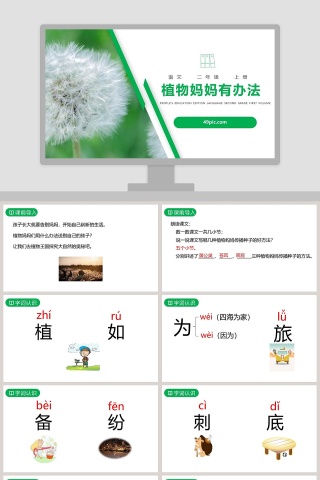 课文解析二年级语文上册植物妈妈有办法语文课件PPT