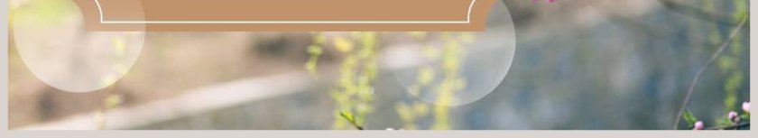 部编版五年级语文下册红楼春趣PPT课件第6张