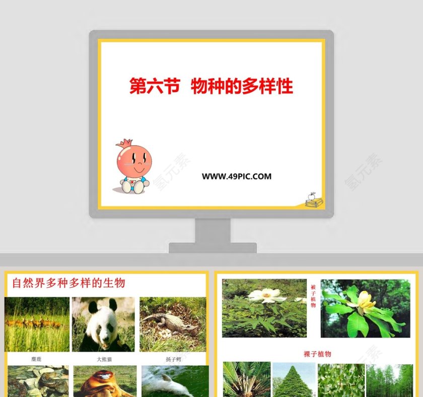 第六节  物种的多样性教学ppt课件第1张