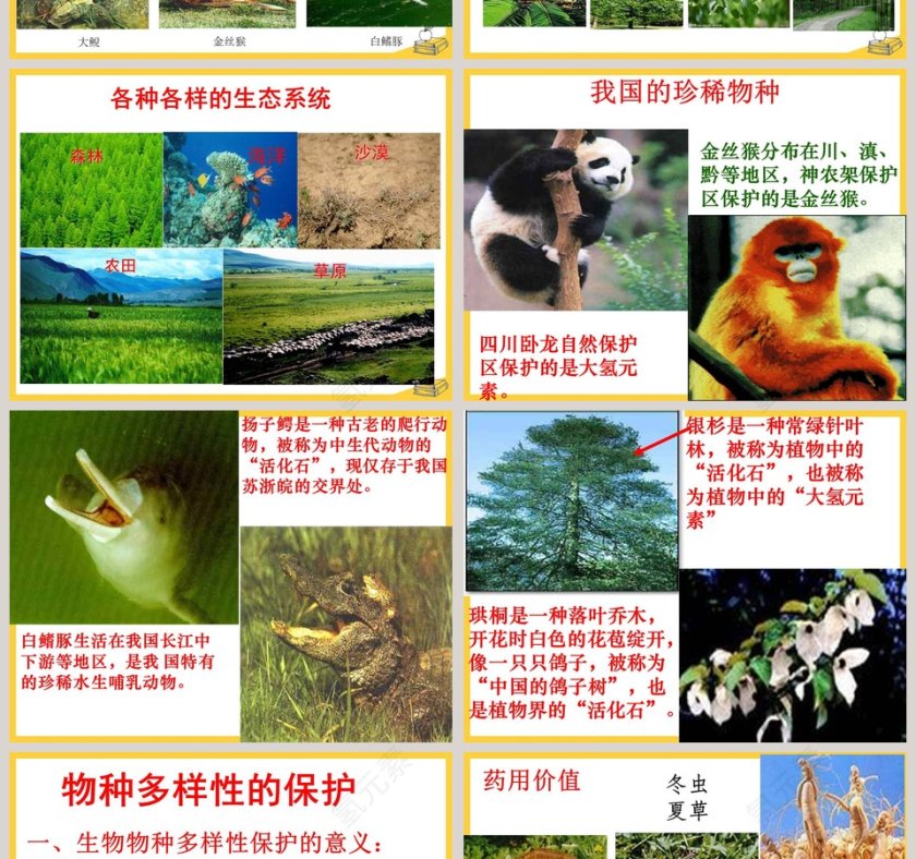 第六节  物种的多样性教学ppt课件第2张