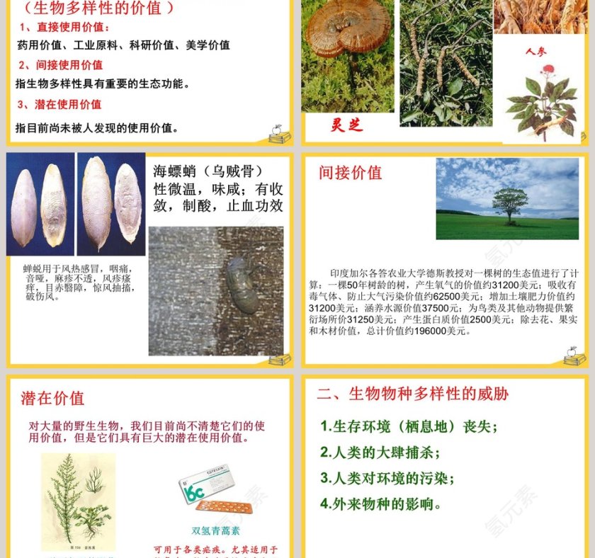 第六节  物种的多样性教学ppt课件第3张