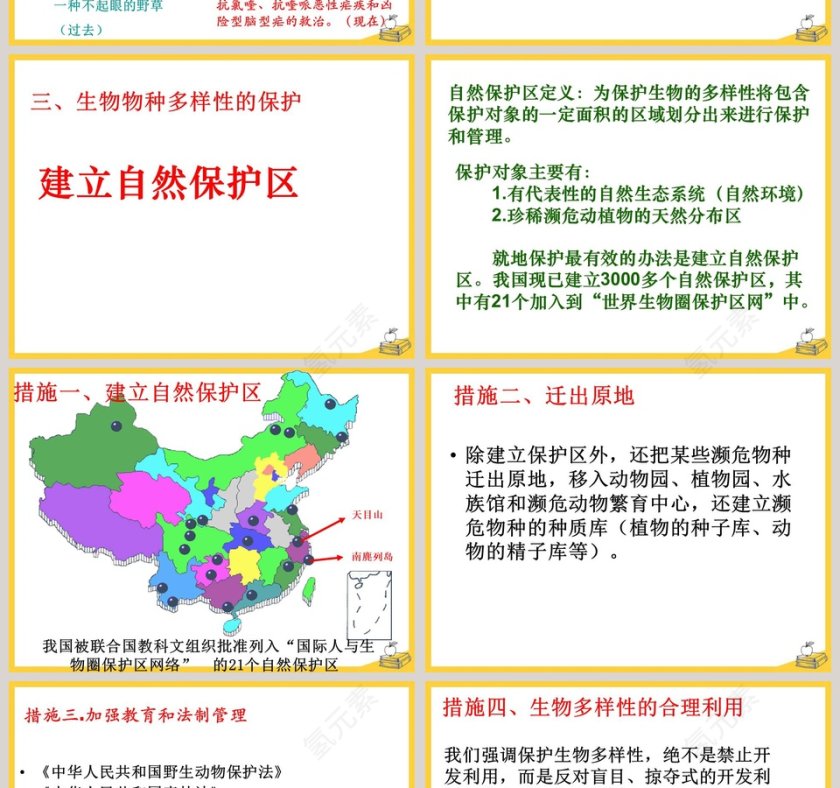 第六节  物种的多样性教学ppt课件第4张