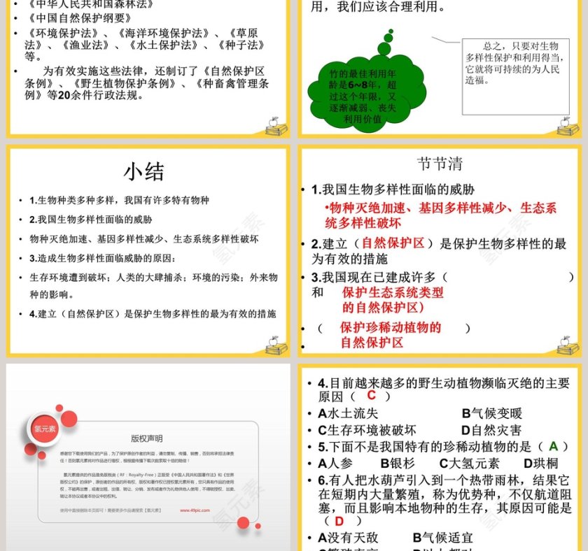 第六节  物种的多样性教学ppt课件第5张