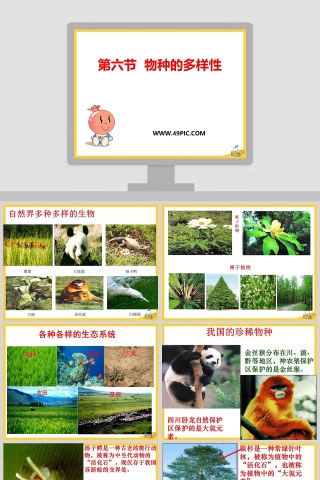 第六节  物种的多样性教学ppt课件