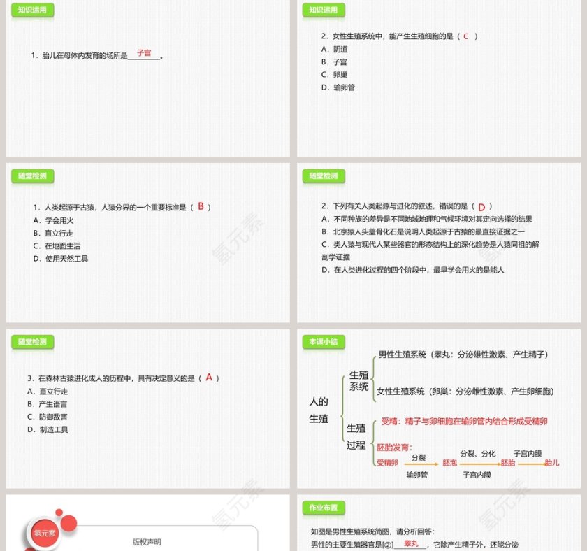 -人的生殖教学ppt课件第5张