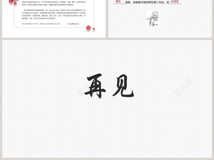 -人的生殖教学ppt课件第6张