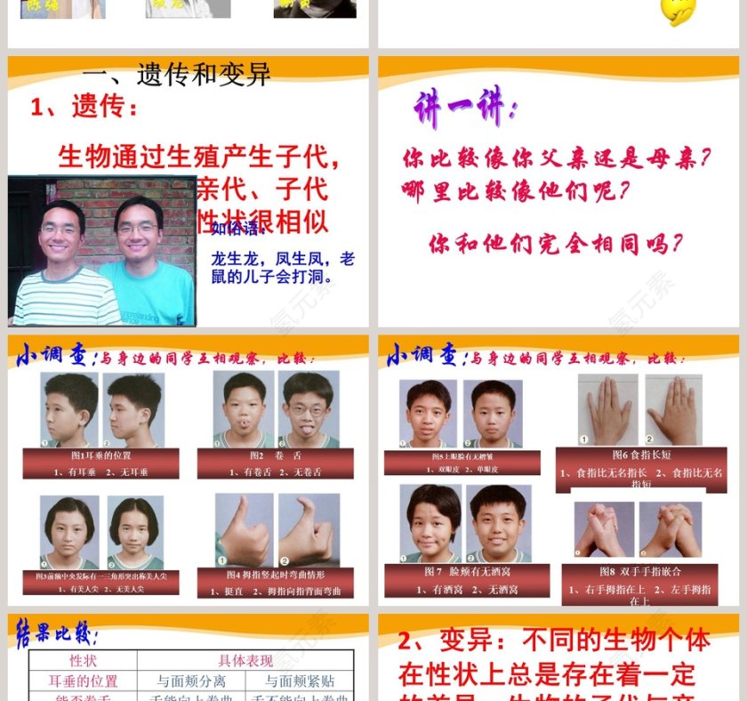 第五节-遗传与进化教学ppt课件第2张