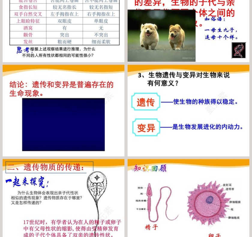 第五节-遗传与进化教学ppt课件第3张