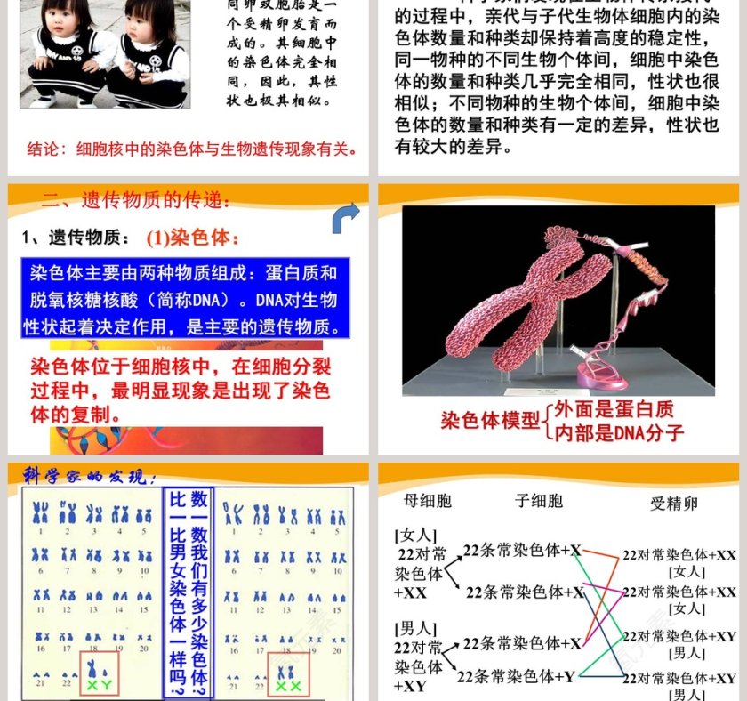 第五节-遗传与进化教学ppt课件第5张