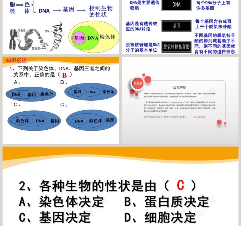 第五节-遗传与进化教学ppt课件第7张