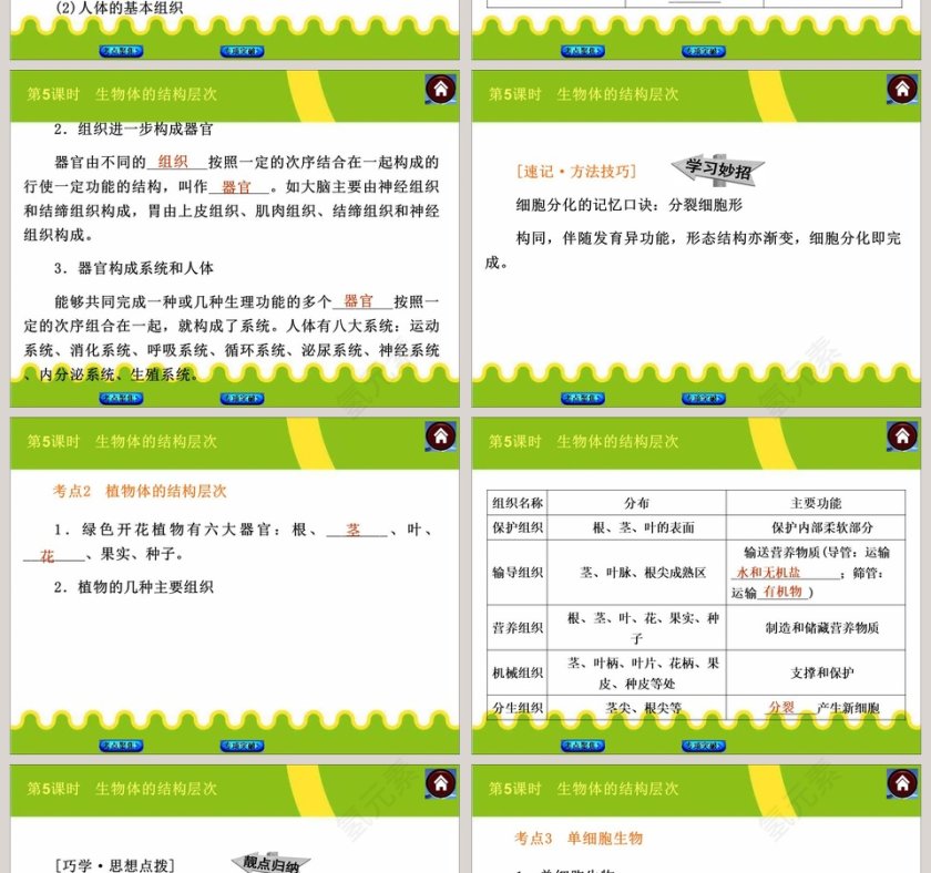 第-5教学ppt课件第2张