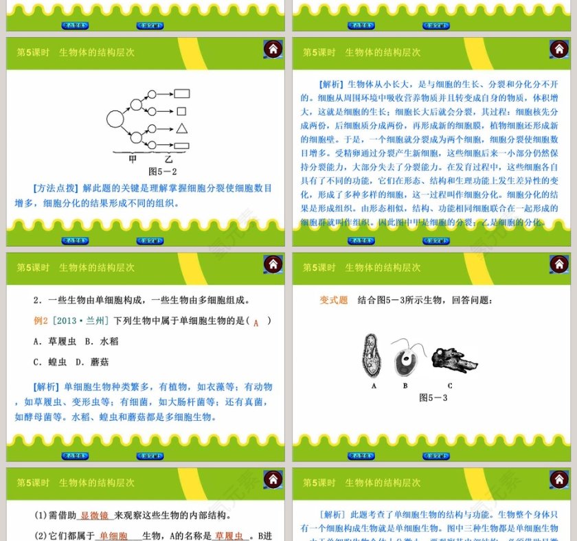 第-5教学ppt课件第4张