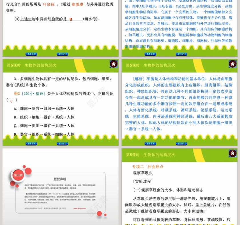 第-5教学ppt课件第5张