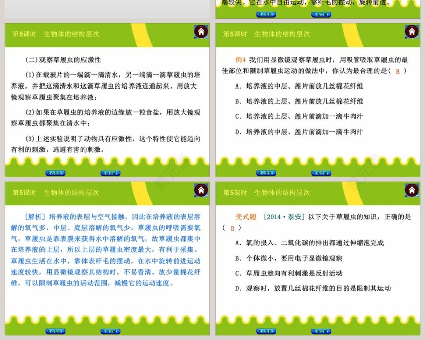 第-5教学ppt课件第6张