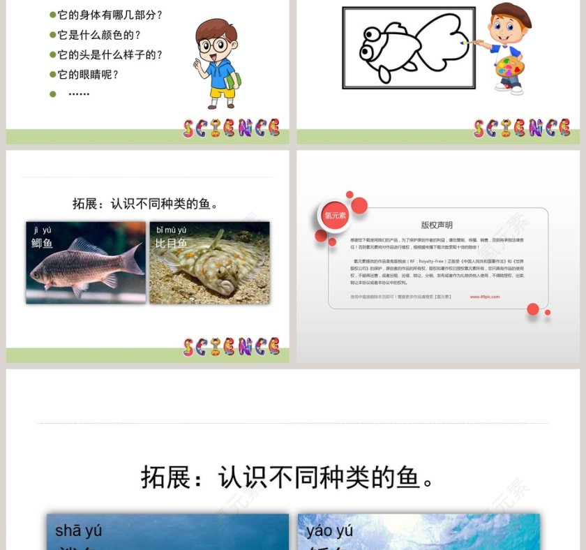 0-金 鱼教学ppt课件第3张