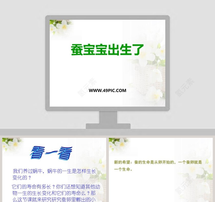 蚕宝宝出生了教学ppt课件第1张