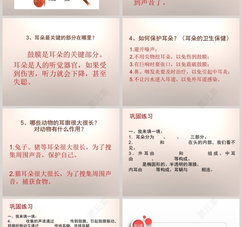 怎样听到声音青岛版五年级科学上册PPT模板下载第2张