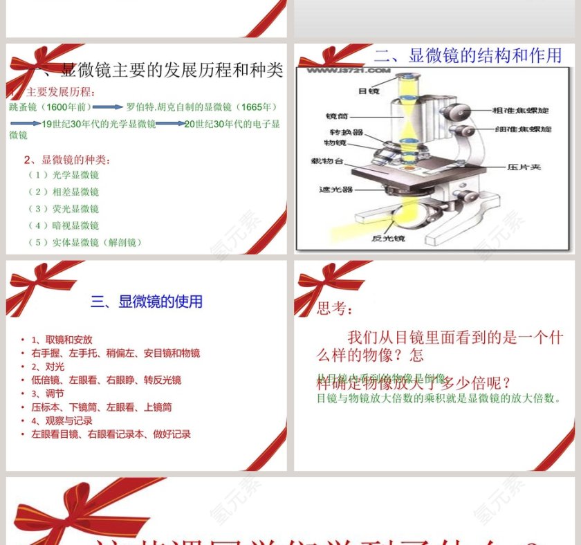 解开生物体结构的秘密教学ppt课件第2张