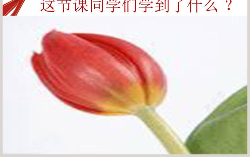 解开生物体结构的秘密教学ppt课件第3张