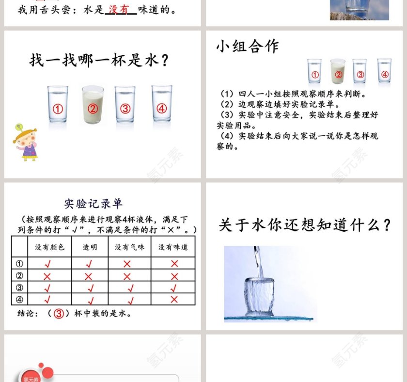 大象-版小学科学一年级下册第一单元教学ppt课件第2张