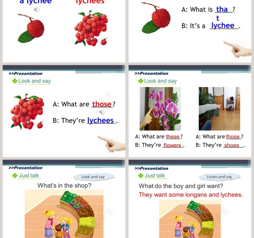 人教精通版五年级上册-Unit6 Its a grapefruit教学ppt课件第3张