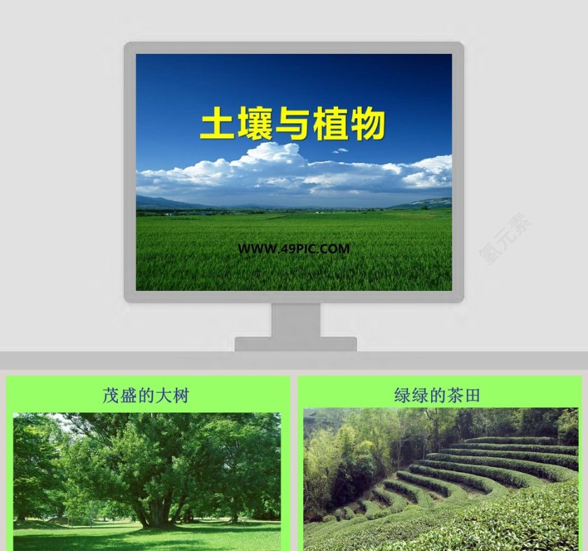 土壤与植物教学ppt课件第1张