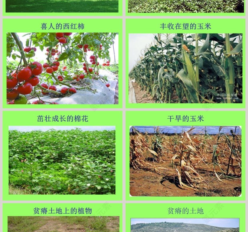 土壤与植物教学ppt课件第2张