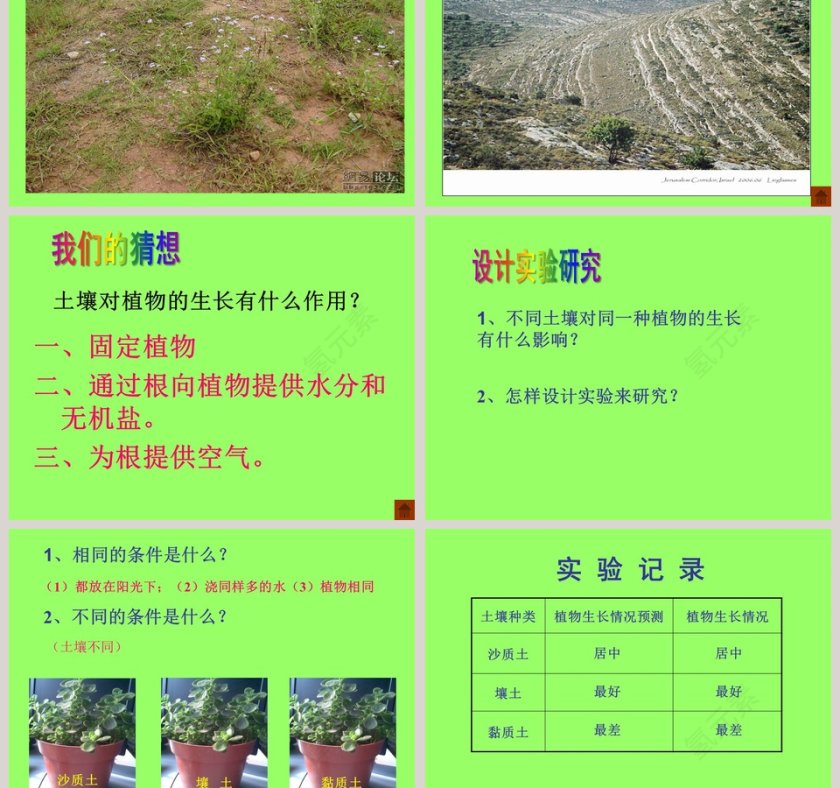 土壤与植物教学ppt课件第3张