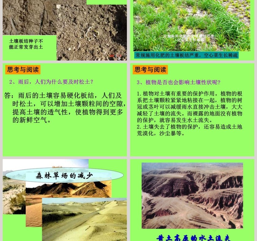 土壤与植物教学ppt课件第5张