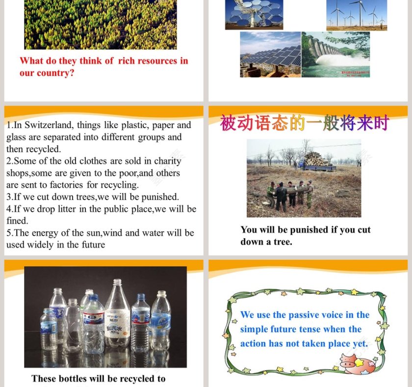 Unit 8-A green world教学ppt课件第3张