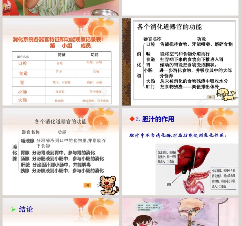 食物到哪里去了？用PPT模板展示产品发布的流程第2张