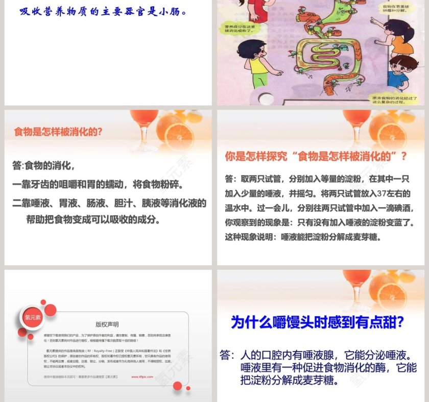 食物到哪里去了？用PPT模板展示产品发布的流程第3张