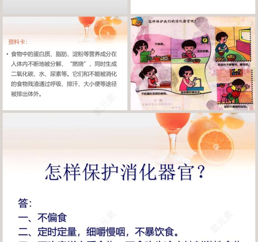 食物到哪里去了？用PPT模板展示产品发布的流程第4张