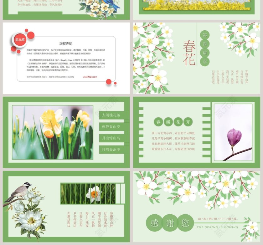 春来了ppt第4张