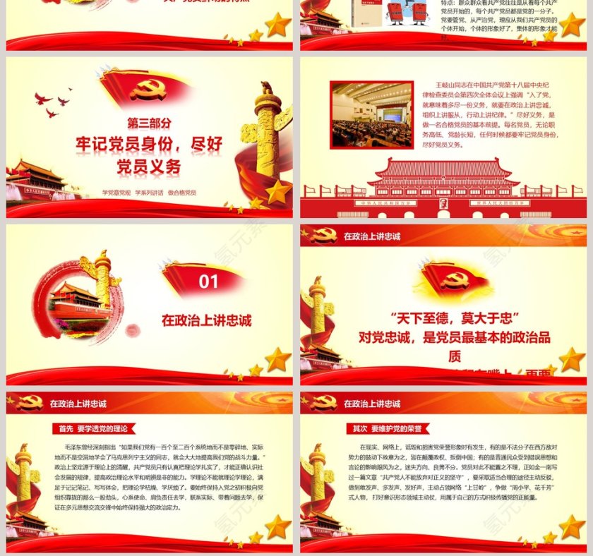 十九大精神学习做合格党员PPT模板第7张