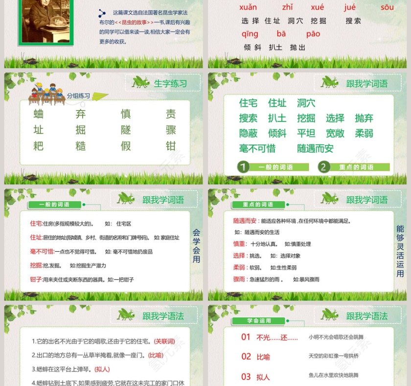 部编版四年级语文蟋蟀的住宅语文课件PPT第3张