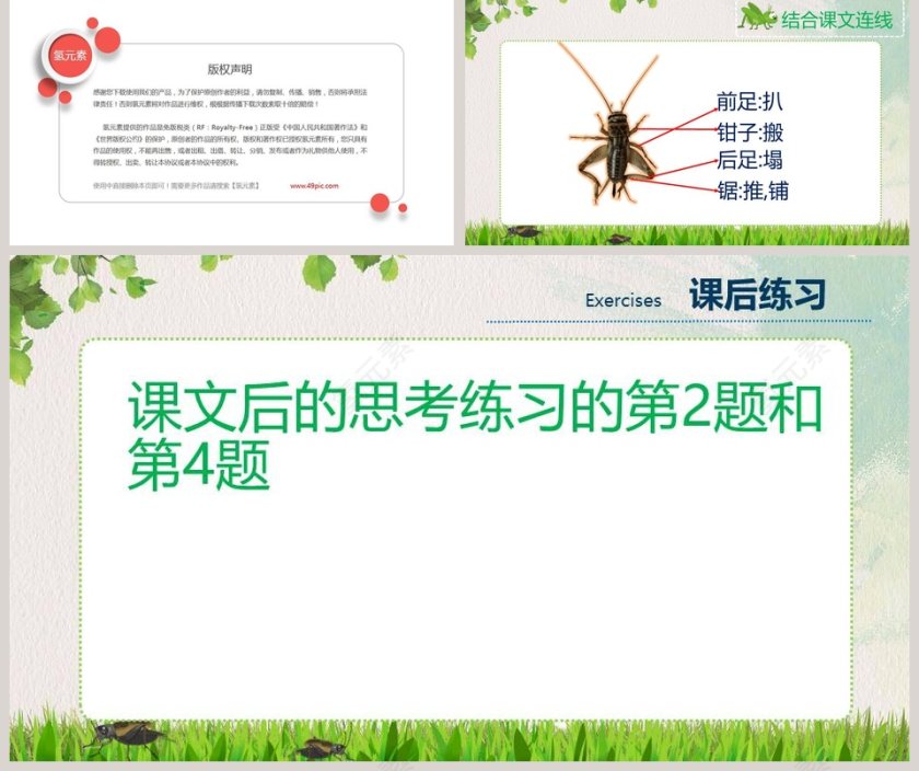 部编版四年级语文蟋蟀的住宅语文课件PPT第5张