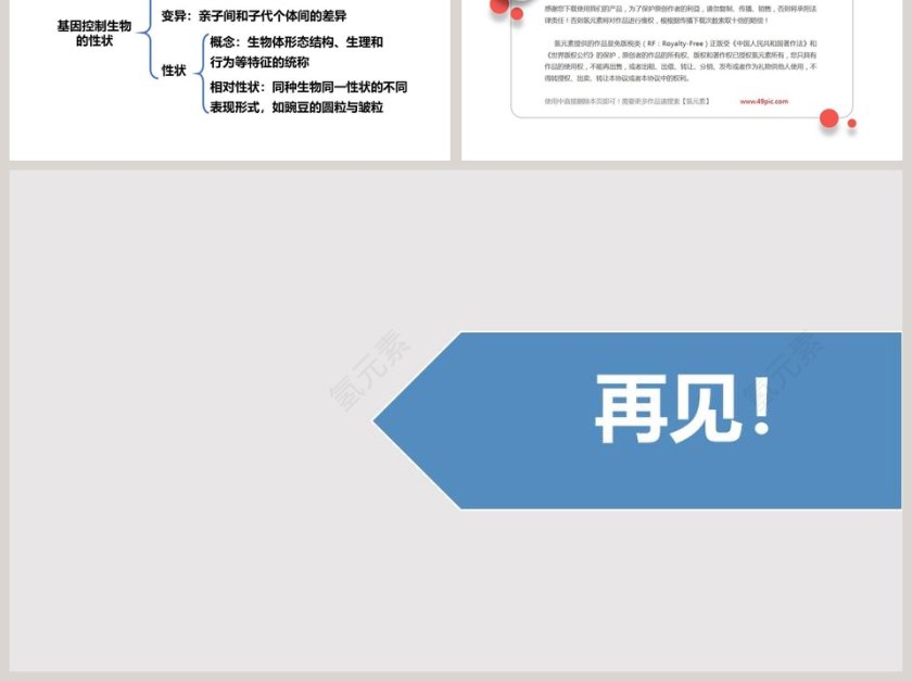 -基因控制生物的性状教学ppt课件第6张
