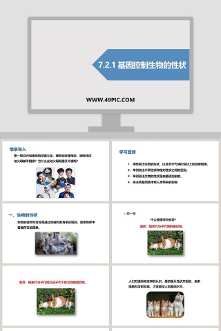 -基因控制生物的性状教学ppt课件