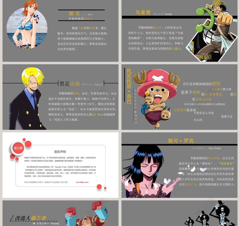 草帽海贼团成员简介PPT第2张