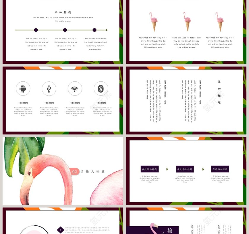 火烈鸟主题雀恋PPT第2张