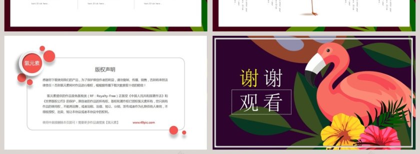 火烈鸟主题雀恋PPT第4张