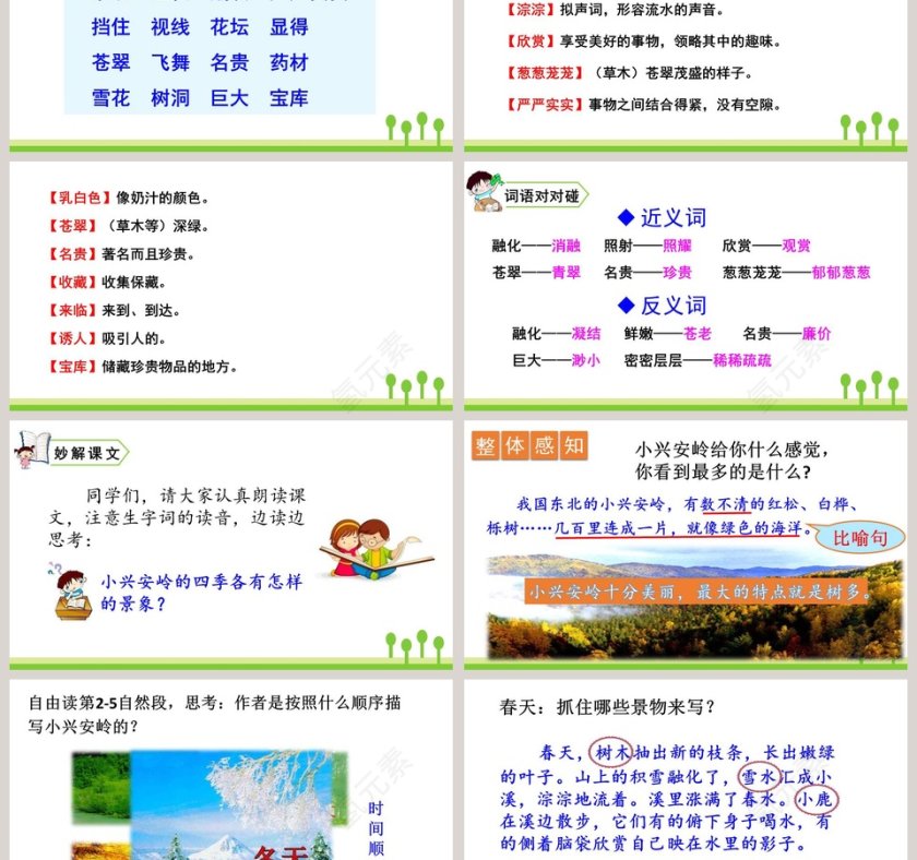 课文解读三年级语文上册美丽的小兴安岭语文课件PPT第3张